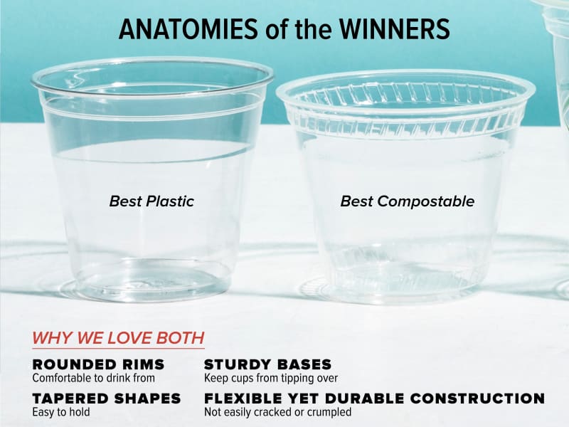 Best on sale disposable cups